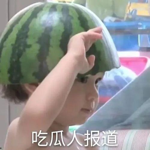 娱乐吃瓜文案搞笑表情包,带你领略搞笑瞬间